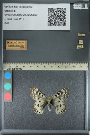 Media type: image;   Entomology 180406